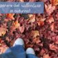 #rallentare #crescitapersonale #natura #autunno #vivereiltempofelice #consapevolezza